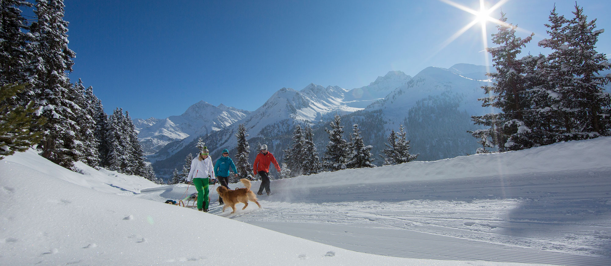 Rodeln - Wintersport für die ganze Familie